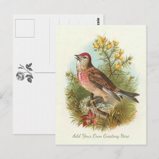 Mooie  vogel voegt je eigen groet toe briefkaart (Voorkant / Achterkant)