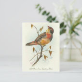 Mooie  vogel voegt je eigen groet toe briefkaart (Staand voorkant)