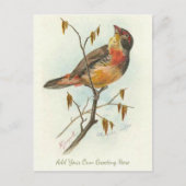 Mooie  vogel voegt je eigen groet toe briefkaart (Voorkant)