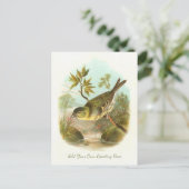 Mooie  vogel voegt je eigen groet toe briefkaart (Staand voorkant)