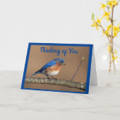 MOOIE VOGEL VRAAGT ** HOE GAAT HET MET JE? *** KAART (Gele Bloem)