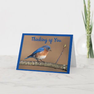 MOOIE VOGEL VRAAGT ** HOE GAAT HET MET JE? *** KAART