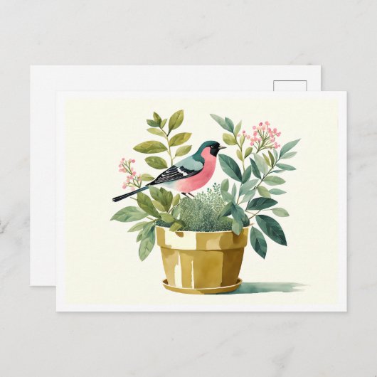 Mooie vogel zittend in een bloempot, Waterverf Briefkaart (Voorkant / Achterkant)