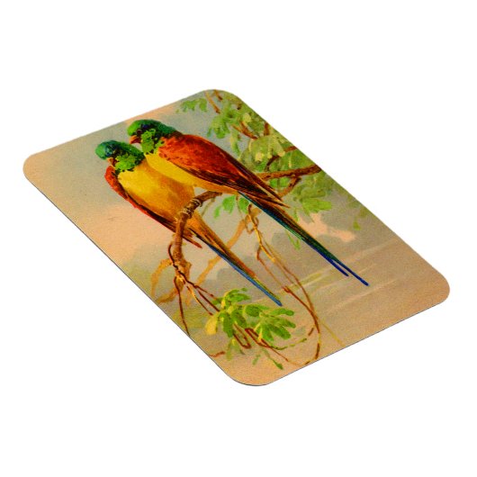 mooie vogelafdrukken magneet (Rechterzijde)