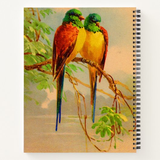 mooie vogelafdrukken notitieboek (Achterkant)