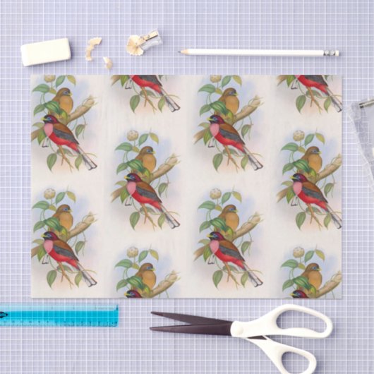 Mooie vogelillustratie Decoupage Tissuepapier (Craft)