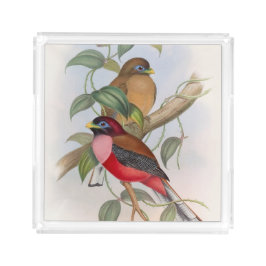 Mooie vogelillustratie Elegant Acryl Dienblad