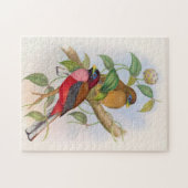 Mooie  vogelillustratie Puzzle Legpuzzel (Horizontaal)