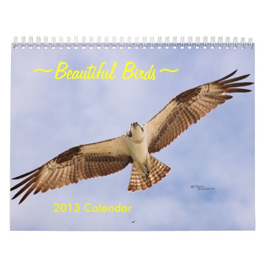 Mooie vogelkalender 2016 kalender (Hoes)