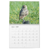 Mooie vogelkalender 2016 kalender (Mar 2027)