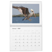 Mooie vogelkalender 2016 kalender (Jan 2027)