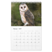 Mooie vogelkalender - Schilderen Kalender (Feb 2027)