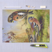  Mooie Vogels Bramblings & Chaffinch Tissuepapier (Craft)
