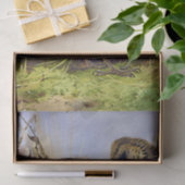  Mooie Vogels Bramblings & Chaffinch Tissuepapier (Geschenk)