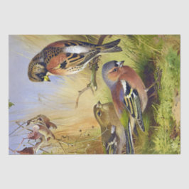  Mooie Vogels Bramblings & Chaffinch Tissuepapier