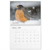 Mooie Vogels Fotografie 2025 Kalender Blauwvogel (Feb 2026)
