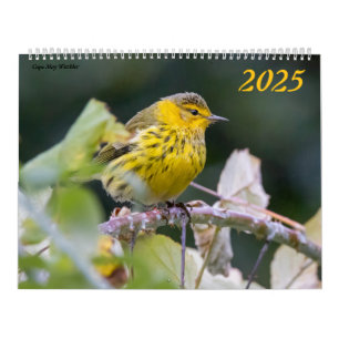Mooie Vogels Fotografie 2025 Kalender Blauwvogel