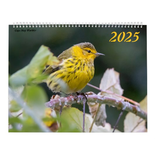 Mooie Vogels Fotografie 2025 Kalender Blauwvogel (Hoes)