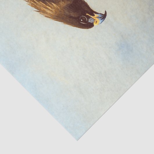 Mooie Vogels Golden Eagle Waterverf Decoupage Tissuepapier (Detail)