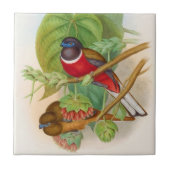 Mooie Vogels Illustratie Kleurrijk Tegeltje (Voorkant)