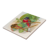 Mooie Vogels Illustratie Kleurrijk Tegeltje (Zijkant)