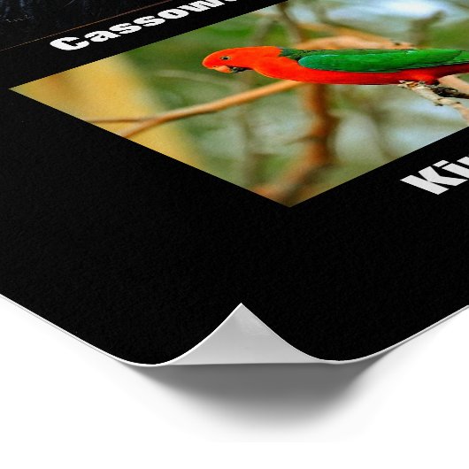 Mooie vogels in Australië Poster (Hoek)