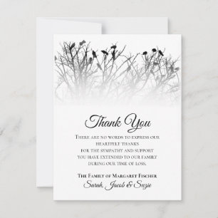 Mooie vogels in de bomen Dank u voor de sympathiek