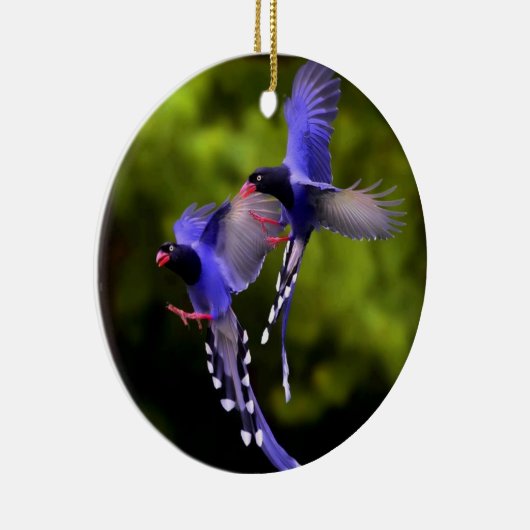 Mooie vogels in het Ornament van de kerstboom (Rechts)