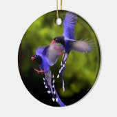 Mooie vogels in het Ornament van de kerstboom (Links)