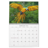 Mooie vogels kalender (Feb 2027)