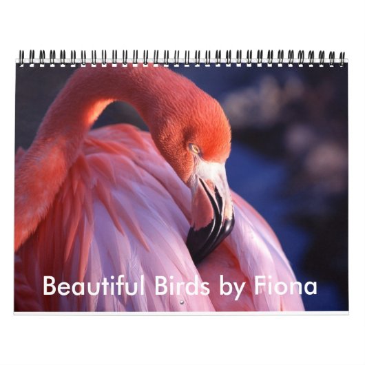 Mooie vogels kalender (Hoes)