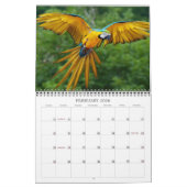 Mooie vogels kalender (Feb 2026)