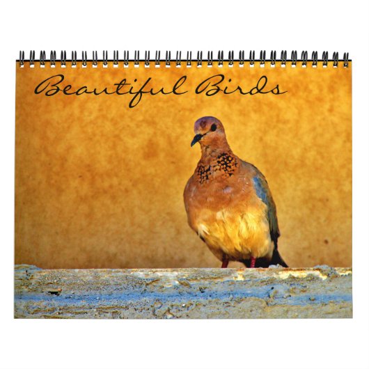 Mooie vogels kalender (Hoes)