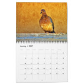 Mooie vogels kalender (Jan 2027)