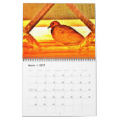 Mooie vogels kalender (Mar 2027)