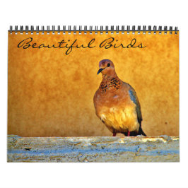 Mooie vogels kalender