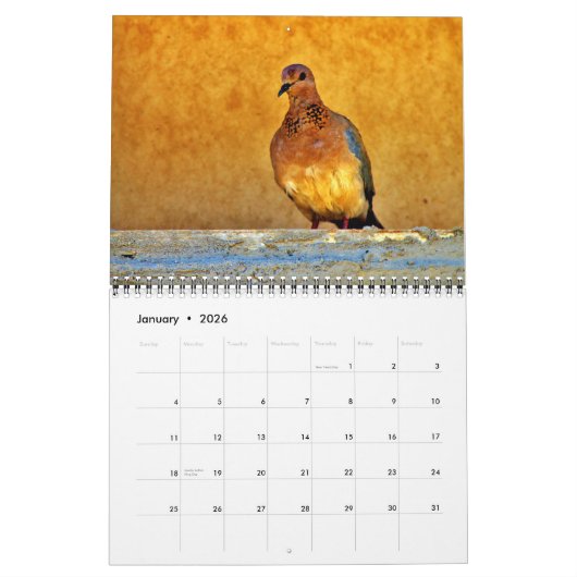 Mooie vogels kalender (Jan 2026)