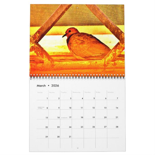 Mooie vogels kalender (Mar 2026)