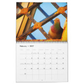 Mooie vogels kalender (Feb 2027)
