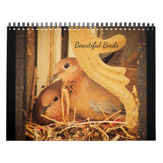 Mooie vogels kalender (Hoes)