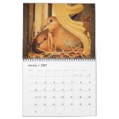 Mooie vogels kalender (Jan 2027)