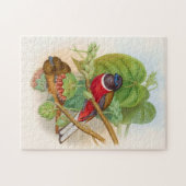 Mooie vogels, kleurrijke  illustratie legpuzzel (Horizontaal)