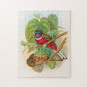 Mooie vogels, kleurrijke  illustratie legpuzzel (Verticaal)