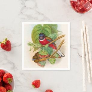Mooie vogels, kleurrijke  illustratie servet