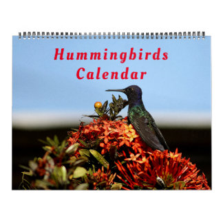 Mooie vogels - , kleurrijke vogels kalender