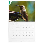 Mooie vogels - , kleurrijke vogels kalender (Feb 2027)