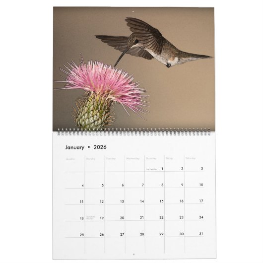Mooie vogels - , kleurrijke vogels kalender (Jan 2026)