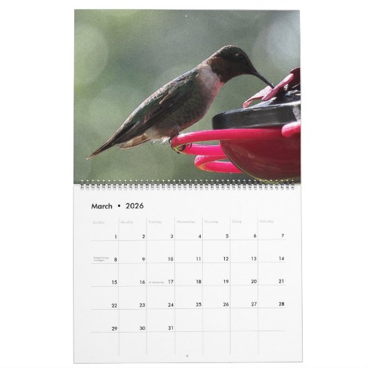 Mooie vogels - , kleurrijke vogels kalender (Mar 2026)