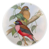 Mooie  Vogels Moderne boerderij Keramische Knop (Voorkant)