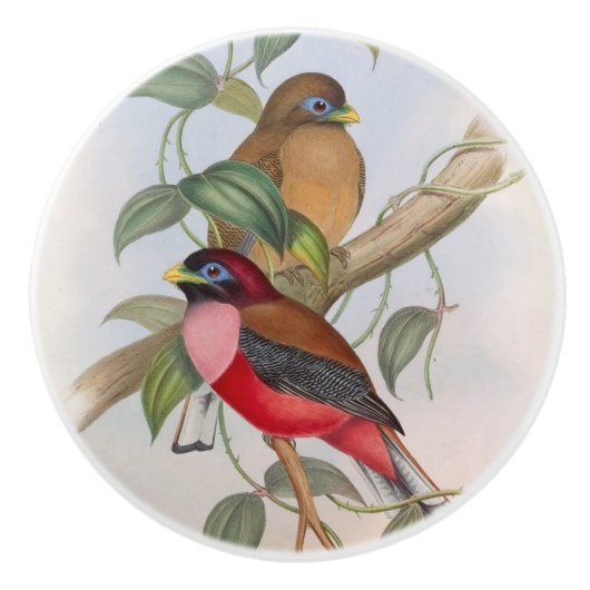 Mooie  Vogels Moderne boerderij Keramische Knop (Voorkant)